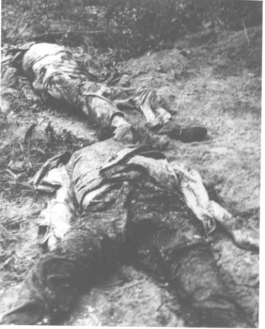 On April 5, a Vietnamese farmer near Hue discovered a grave containing the bodies of four Germans killed by the Viet Cong and North Vietnamese during their TET attacks on the old imperials capital of Hue. The bodies of three German professors at the Faculty of Medicine at Hue, and the wife of one of the professors, were found with their hands tied behind their backs, and indication that they had been executed shortly after their capture. The Viet Cong victims were: Dr. Horst Krainick and Mrs. Krainick; Dr Baisund Disher, and Dr. Alois Altekoester. -- Mrs. Elizabeth Krainick (foreground) and Dr. Alois Altekoester (background) -- 68-0192-B