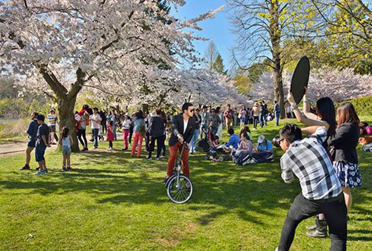 A group of people at a park

Description automatically generated with medium confidence